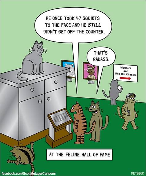 Throwback Thursday Cat Meme