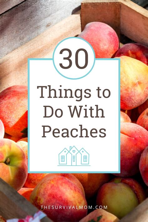 30 Things to Do With Peaches Today! - Survival Mom