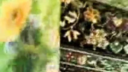 Iranian Porn Videos Naughty Sex From Iran Xhamster