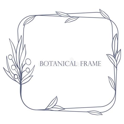 Square Frame With Leaves And Berries Vector Illustration Stock Vector