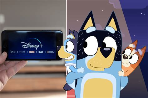 Bluey Voice Actors Hilarious Response To Disney Ban