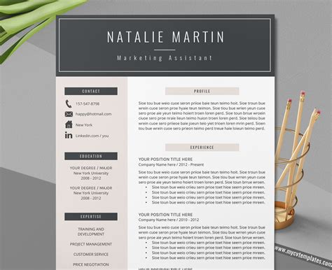 Resume Templates Without Photo