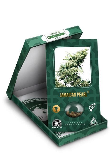 Jamaican Pearl Graines De Cannabis R Guli Res Sensi Seeds Calle