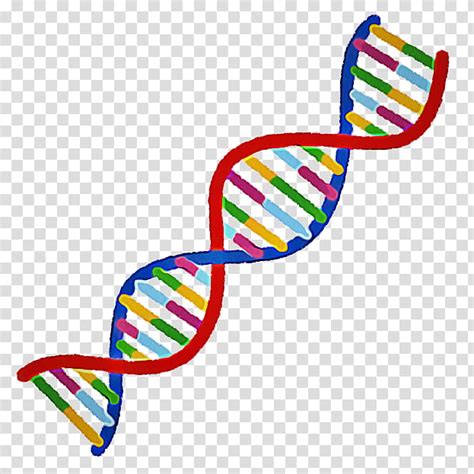Genes Clipart Images Free Download Png Transparent Background 3659320