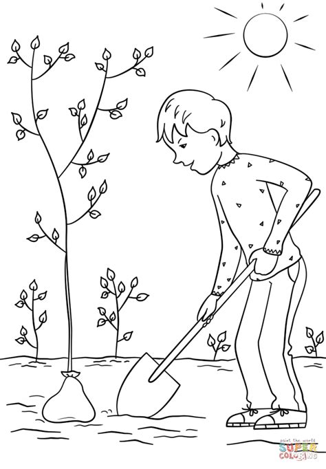 Dibujo de Niño plantando un árbol para colorear Dibujos para colorear