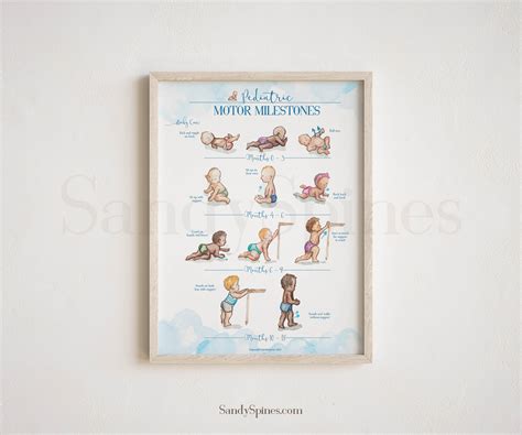 Pediatric Developmental Milestones Poster – SandySpines