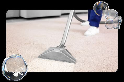 The Essential Guide To Professional Carpet Cleaning Sparkle Home Cleaning