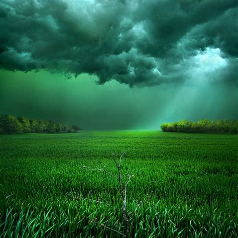 Clouds Field Sunlight Storm Grass Shrubs Green Landscape Nature