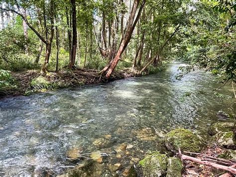 Hinterhouse On The Never Never River Near Bellingen House For Rent