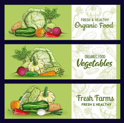 Premium Vector Farm Vegetables Sketch Banners Vector Veggies