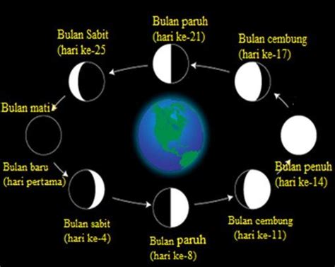 Memahami 8 Fase Bulan Dan Gerhana Fisika Kelas 7 Belajar Gratis Di