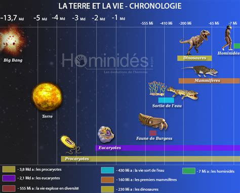 L Histoire De La Terre Et De La Vie Hominides