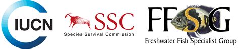 New Species 2023 - IUCN/SSC Freshwater Fish Specialist Group