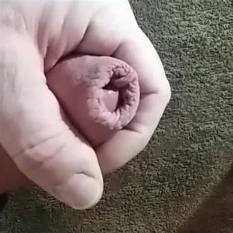 Walenie Konia Duzy Penis Kutas Sperma Free Gay Porn 55 XHamster