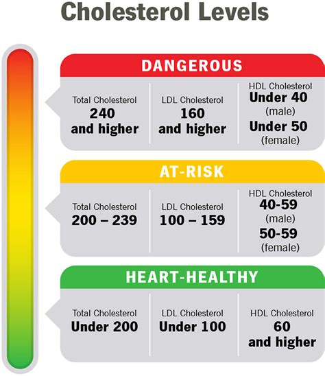 High Cholesterol Causes Signs Symptoms Diagnosis Treatment Prognosis