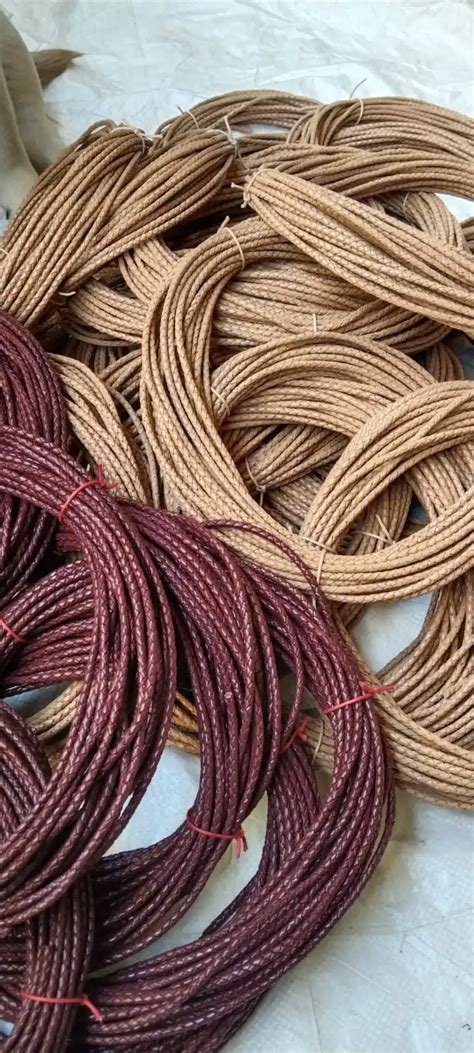 Custom Made Leather Whips For Horse Riding Institutes And Horse Riding