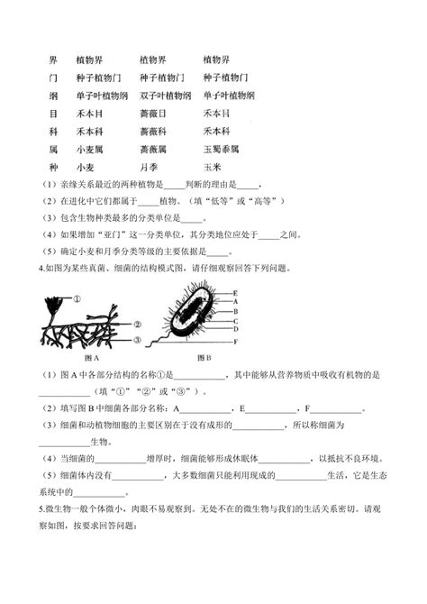 514 丰富多彩的生物世界 苏教版八年级上册大题通关练（含解析）21世纪教育网 二一教育