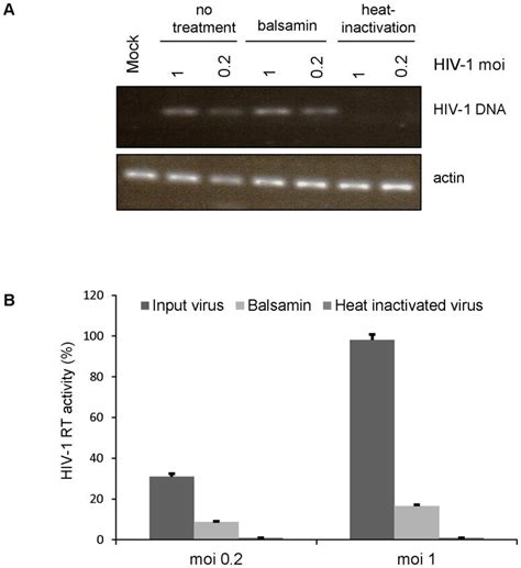 A. Jurkat T cells were infected with DNase-treated HIV-1 with at a moi ... 