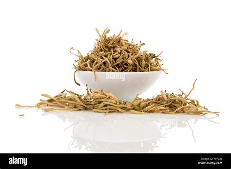 Dried Cordyceps Militaris Mushrooms In Bowl Isolated On White