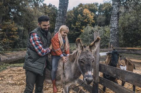 A Blonde Girl Sitting On A Donkey Stock Photo Image Of Asian Farmer