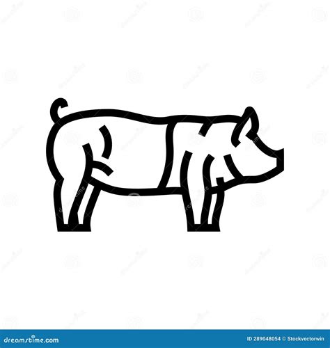 Hampshire Pig Breed Line Icon Vector Illustration Stock Illustration