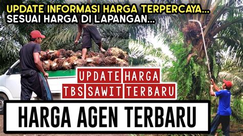 Harga Sawit Terbaru Di Agen September Harga Sawit Hari Ini Di