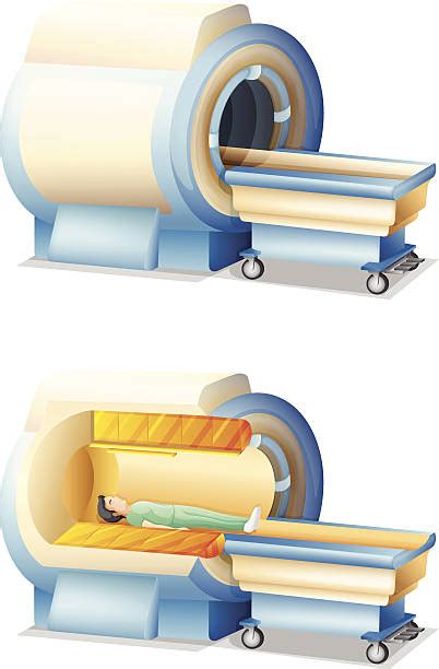 Mri Scan Clip Art Vector Images And Illustrations Istock