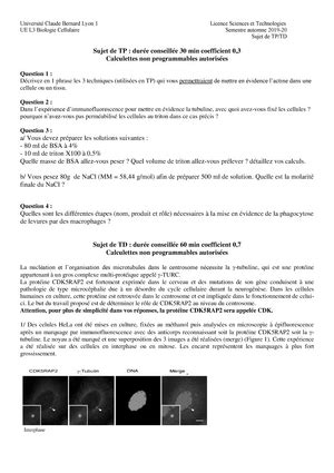 Aide Pour Une S Quence Pr Paration Examen Biomol Paces Outils Et