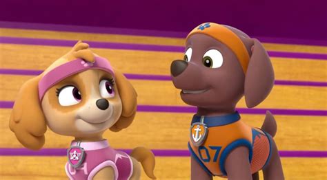 Zuma X Skye Paw Patrol Relation Ship Wiki Fandom Powered By Wikia