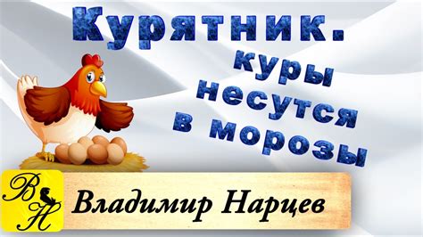 #Курятник. #Куры хорошо несутся в морозы. - YouTube