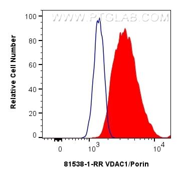 Vdac Porin Antibody Rr Proteintech