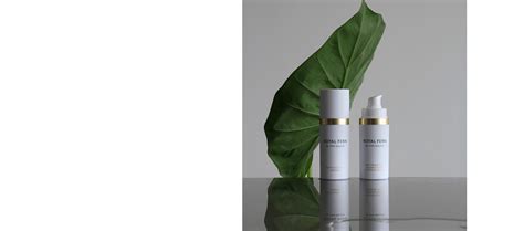 Royal Fern: Patented Plant-Based Skincare – Royal Fern Skincare