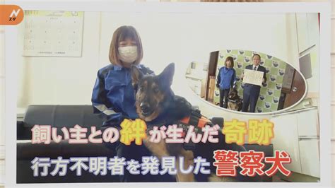 「耳ピーン」で行方不明者を発見 大活躍の警察犬【ゲキ推しさん】 Tbs News Dig