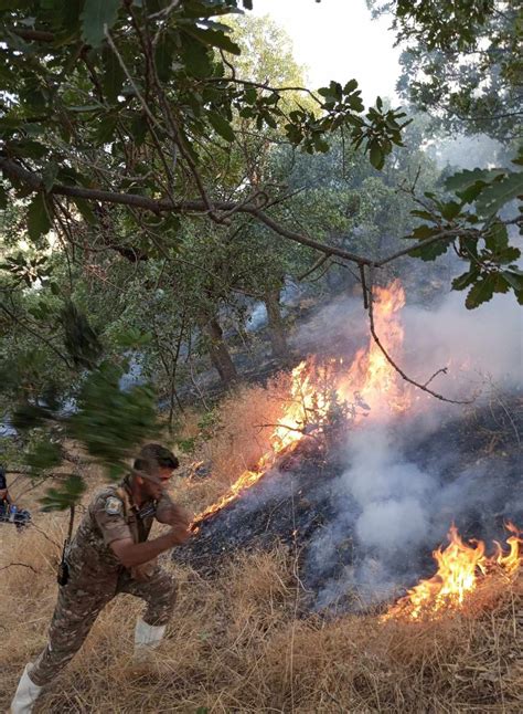 عملية إخماده استغرقت 30 ساعة حريق ضخم يأتي على 3 آلاف دونم في