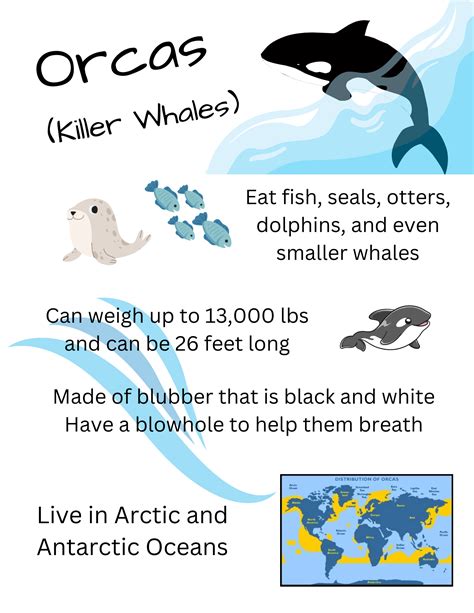 Orcas Fact Sheet Home Learning Kit