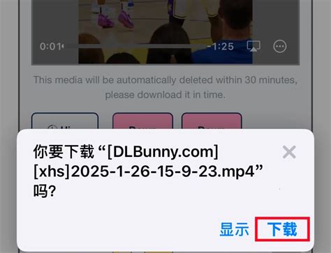 How to download Xiaohongshu videos and photos in HD quality (watermark ...