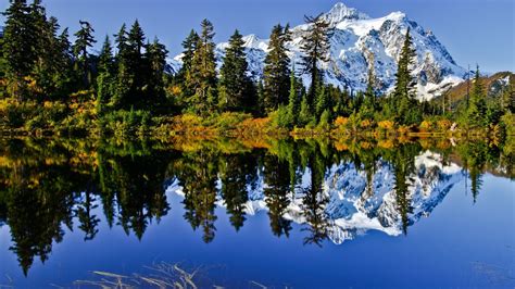 Wallpaper Pohon Pemandangan Hutan Danau Refleksi Salju Awan