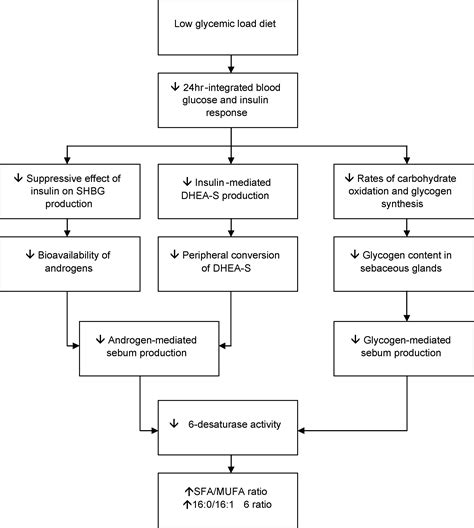 The Effect Of A Low Glycemic Load Diet On Acne Vulgaris And The Fatty