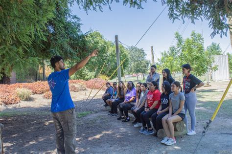 Hpp Summer Bridge Program Health Careers Opportunity Program