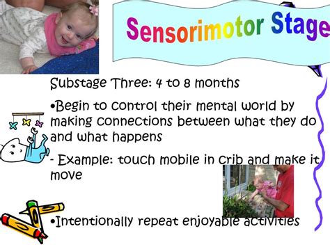 Sensorimotor Stage Examples