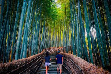 Private Van Deep Kyoto Arashiyama Tour Full English Guide