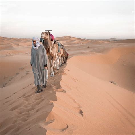 Nights Camel Trekking In Merzouga Morocco Camel Trek