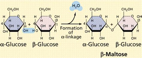 Lon Capa Chemistry Ii Water And Organic Molecules