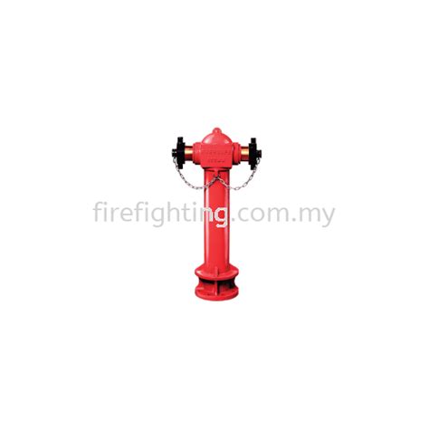 2 Way Fire Hydrant Eversafe Fire Hydrant Fire Hydrant And Wetdry Riser