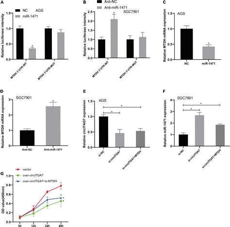 Frontiers Circitga Suppresses Gastric Cancer Progression Through Mir