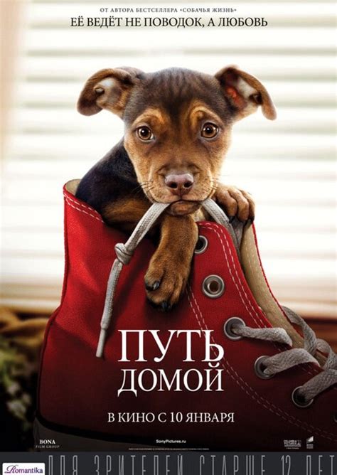 Фильмы про животных, хитрости которых можно только позавидовать ...