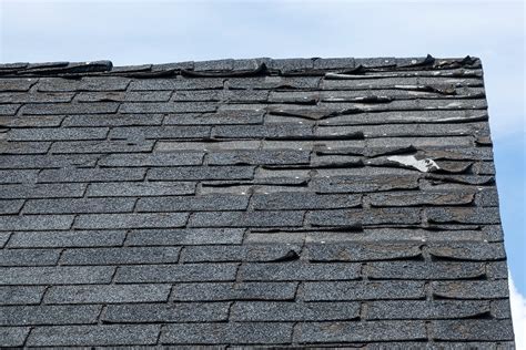 Professional Services Required For Water Damaged Roofs