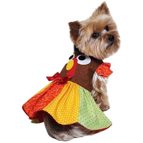 Best Dog Thanksgiving Costumes for Turkey Day.