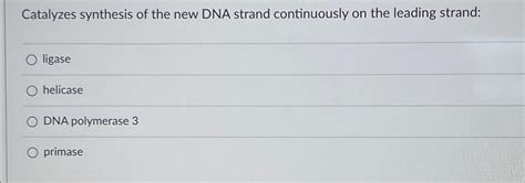 Solved Catalyzes Synthesis Of The New DNA Strand Chegg