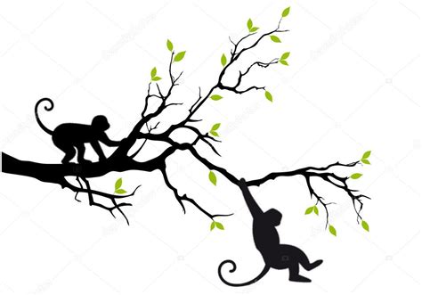 Monos En El árbol Vector 2024